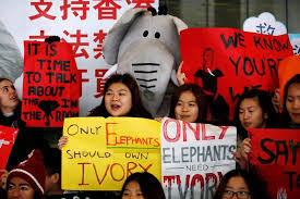 Hong Kong votes to abolish ivory trade by 2021