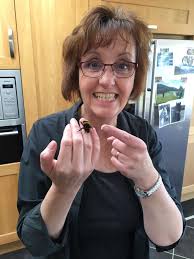 This woman became friends with a bumblebee queen she rescued