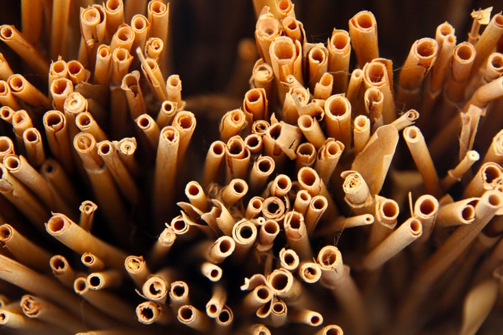 It’s time to ditch your plastic straws for pasta straws!