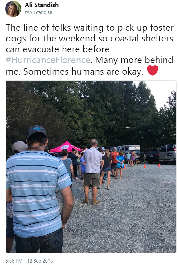 People in Carolinas lined up at local shelters to adopt animals to keep them safe during Hurricane Florence