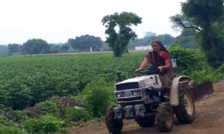 This Indian woman from a small village has become champion of chemical-free farming