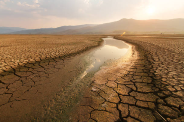 This green machine mimics clouds to provide clean drinking water, and is powered by biomass