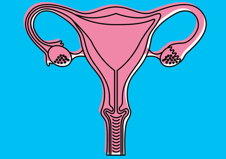 Scientists discover a new drug that could prevent ovarian cancer relapse for years