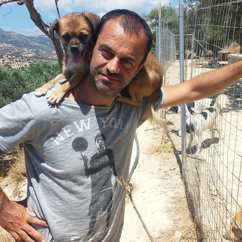Meet the man who saved hundreds of stray dogs, even when he couldn’t afford it