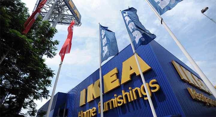 IKEA rehabilitates Borneo rainforest by planting 3 million trees