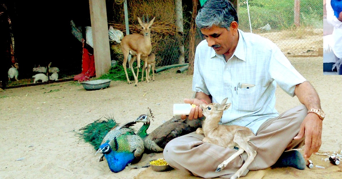 This kind-hearted Indian mechanic has rescued over 1,180 injured wild animals