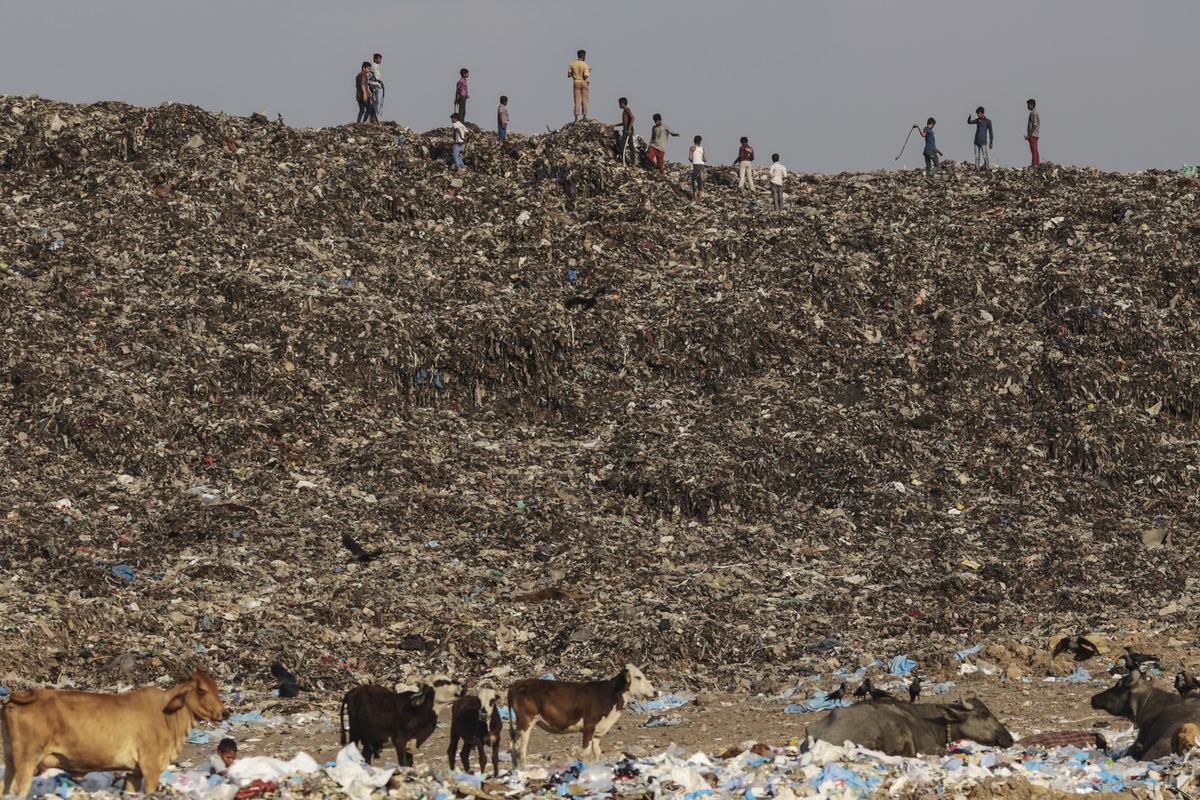 This Indian officer cleared 1.3 million tons of trash from 100 acres in just 6 months