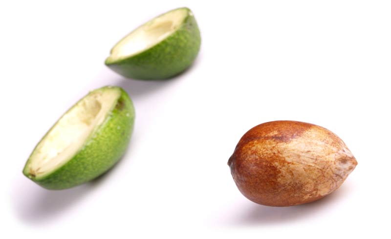This Mexican company is putting discarded avocado pit to good use
