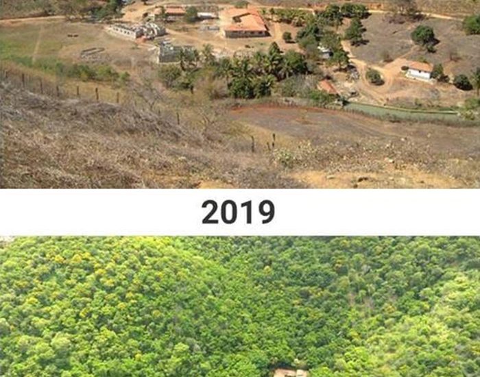 This couple restored an entire forest by planting 2.7 million trees over 20 years