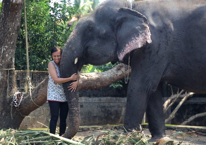 A courageous woman determined to protect India’s majestic elephants from abuse