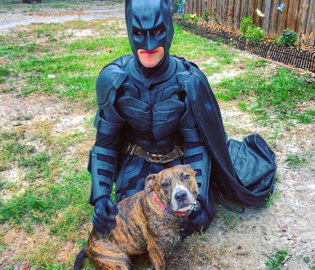 This real-life Batman is on a mission to save shelter animals from euthanasia