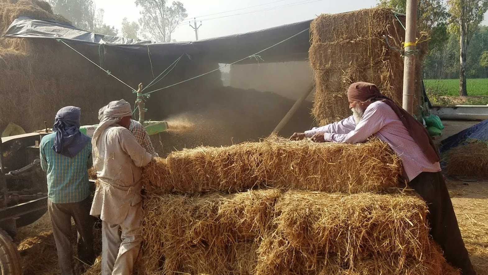 This man’s brilliant idea of converting straw into fuel and other eco-products could end the problem of stubble burning in India