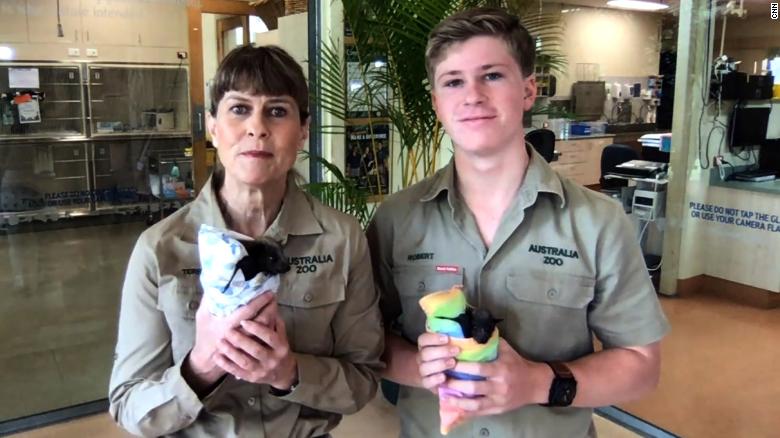 The Irwin family continues to save hundreds of animals from bushfires in Australia