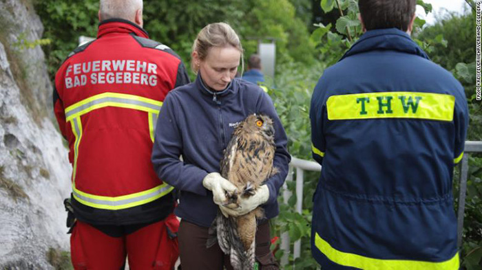 Volunteers help rescue an owl in distress from a 130-foot well